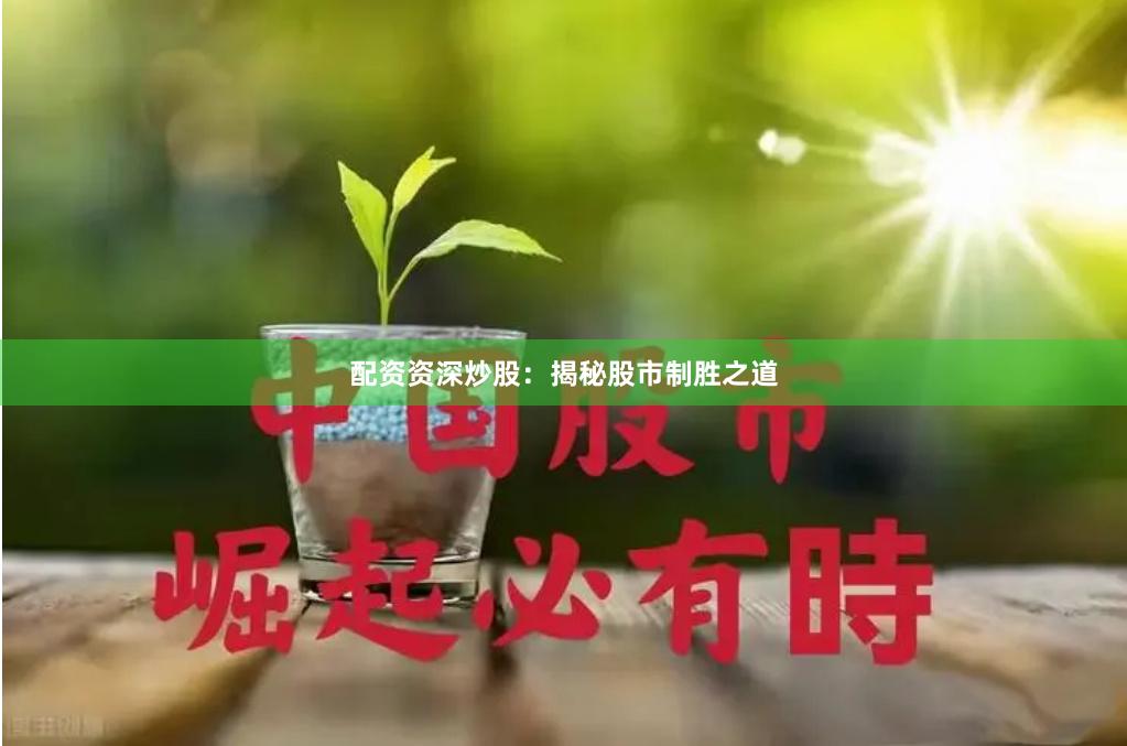 配资资深炒股：揭秘股市制胜之道