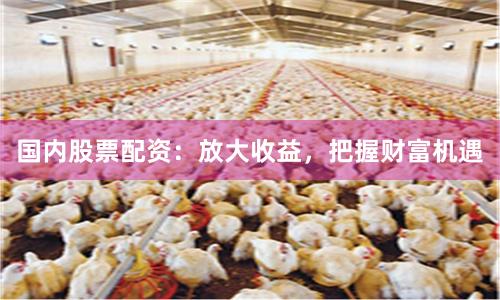 国内股票配资:放大收益,把握财富机遇