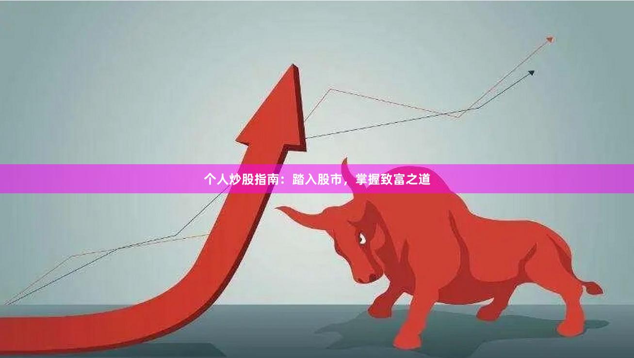 个人炒股指南：踏入股市，掌握致富之道