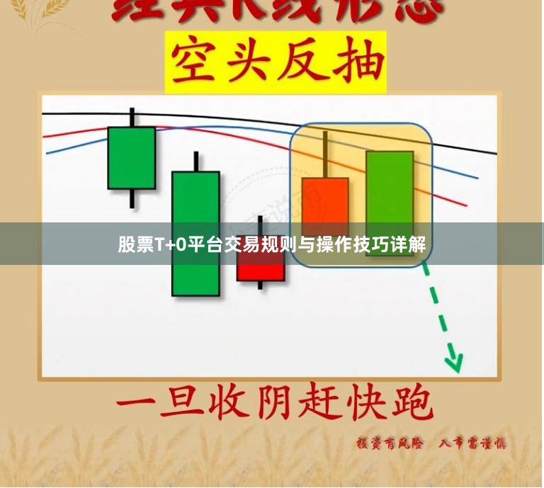 股票T+0平台交易规则与操作技巧详解