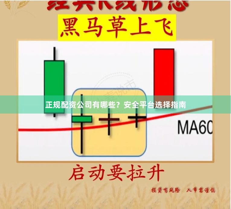 正规配资公司有哪些？安全平台选择指南