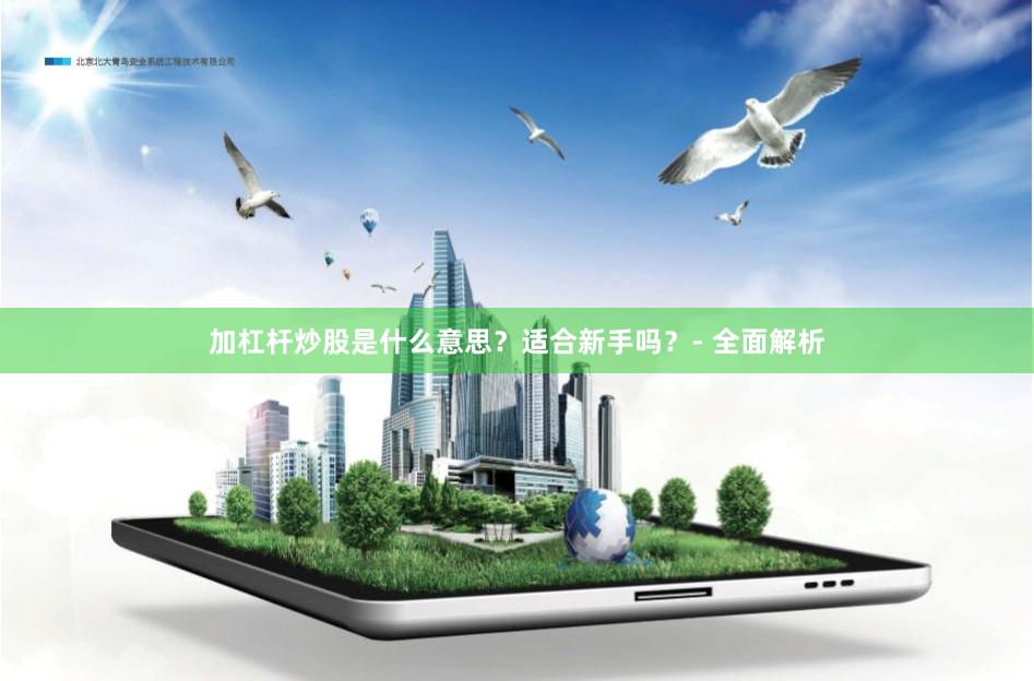 加杠杆炒股是什么意思？适合新手吗？- 全面解析